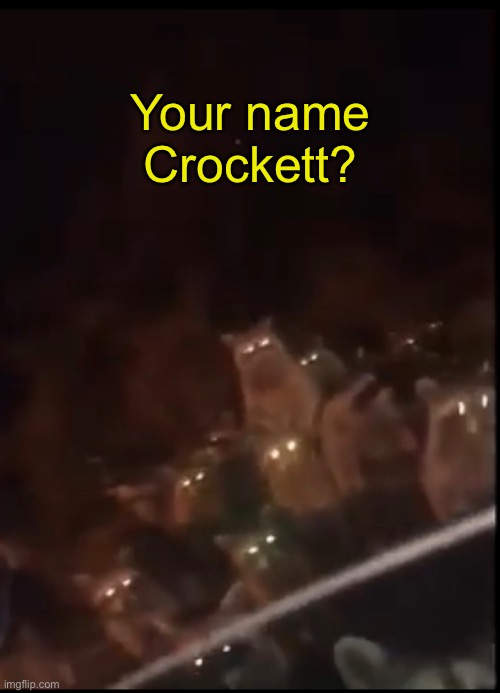 KNOCK KNOCK | Your name Crockett? | image tagged in karma,payback,raccoon | made w/ Imgflip meme maker