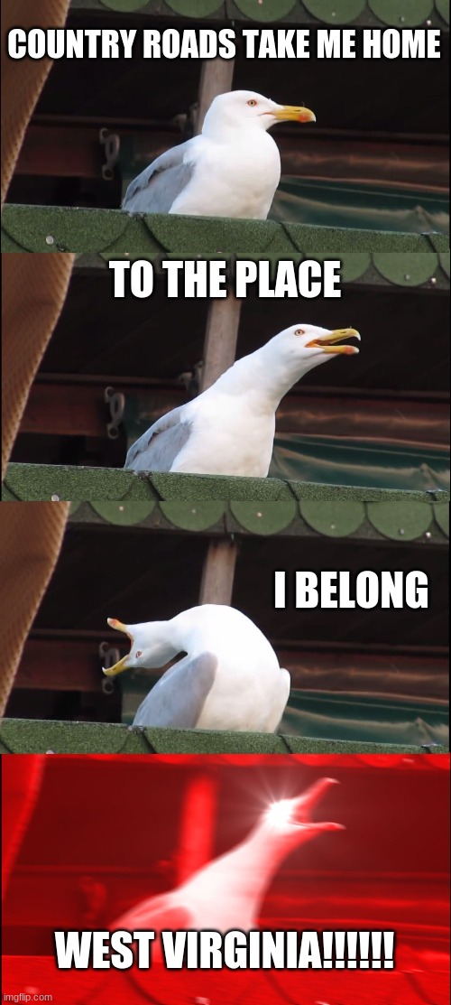 Inhaling Seagull Meme | COUNTRY ROADS TAKE ME HOME; TO THE PLACE; I BELONG; WEST VIRGINIA!!!!!! | image tagged in memes,inhaling seagull | made w/ Imgflip meme maker