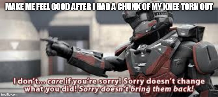 sorry doesn't change what you did | MAKE ME FEEL GOOD AFTER I HAD A CHUNK OF MY KNEE TORN OUT | image tagged in sorry doesn't change what you did | made w/ Imgflip meme maker