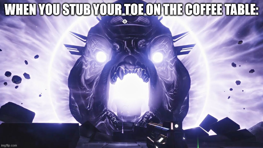 WHEN YOU STUB YOUR TOE ON THE COFFEE TABLE: | image tagged in cool,destiny 2 | made w/ Imgflip meme maker