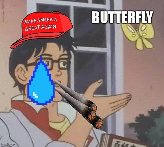 Is This A Pigeon Meme | BUTTERFLY | image tagged in memes,is this a pigeon | made w/ Imgflip meme maker