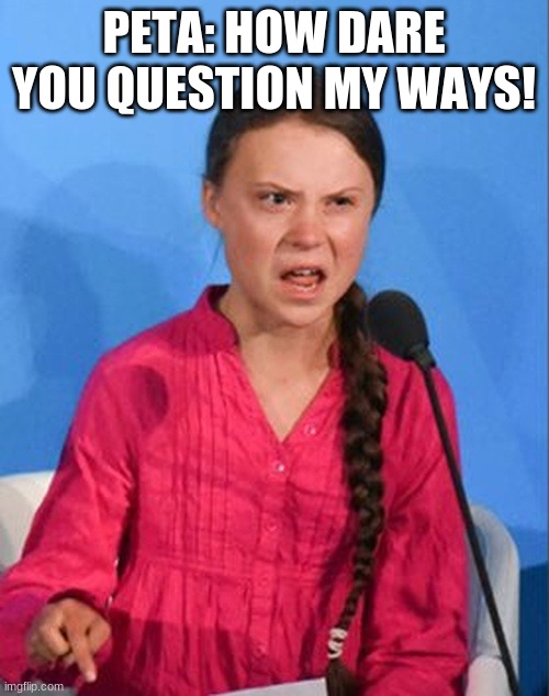 Greta Thunberg how dare you | PETA: HOW DARE YOU QUESTION MY WAYS! | image tagged in greta thunberg how dare you | made w/ Imgflip meme maker