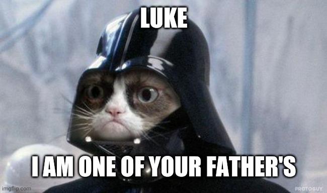 Grumpy Cat Star Wars Meme | LUKE; I AM ONE OF YOUR FATHER'S | image tagged in memes,grumpy cat star wars,grumpy cat | made w/ Imgflip meme maker