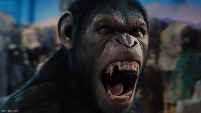 Caeser Rise of the Planet of the Apes | image tagged in caeser rise of the planet of the apes | made w/ Imgflip meme maker