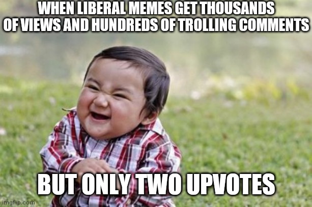 Liberal Memes | WHEN LIBERAL MEMES GET THOUSANDS OF VIEWS AND HUNDREDS OF TROLLING COMMENTS; BUT ONLY TWO UPVOTES | image tagged in memes,evil toddler,liberals,trolling | made w/ Imgflip meme maker