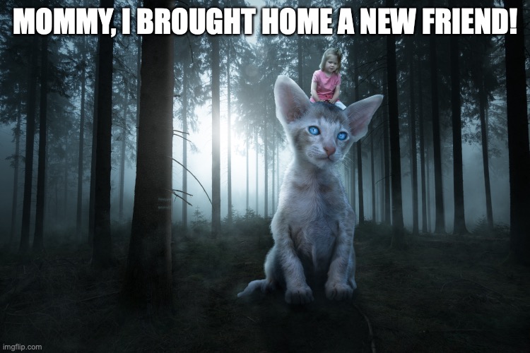 Honey, how are we going to feed him? | MOMMY, I BROUGHT HOME A NEW FRIEND! | image tagged in giant cat,funny cat memes,little girl,new friend,meme,cats | made w/ Imgflip meme maker