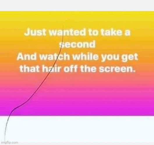image tagged in get the hair off the screen | made w/ Imgflip meme maker