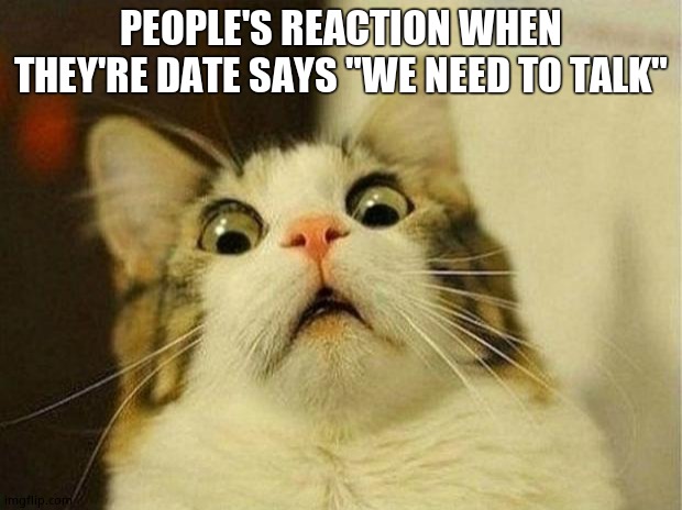 I Mean.. | PEOPLE'S REACTION WHEN THEY'RE DATE SAYS "WE NEED TO TALK" | image tagged in memes,scared cat | made w/ Imgflip meme maker