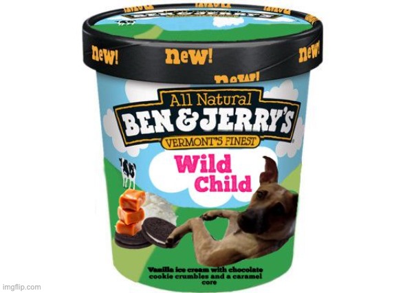 I made an ice cream flavor based off my dog | image tagged in dog,dogs,ice cream,ben and jerry's | made w/ Imgflip meme maker