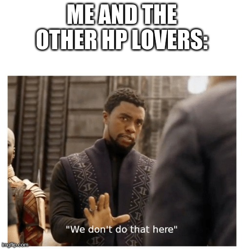 we don't do that here | ME AND THE OTHER HP LOVERS: | image tagged in we don't do that here | made w/ Imgflip meme maker