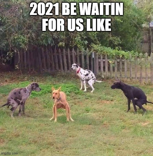 Dogshit | 2021 BE WAITIN FOR US LIKE | image tagged in dogshit,2021,covid-19,shutdown,covidiots | made w/ Imgflip meme maker