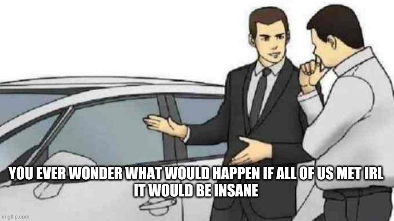 like what if we just, had like a party, or something, it would be crazy | YOU EVER WONDER WHAT WOULD HAPPEN IF ALL OF US MET IRL
IT WOULD BE INSANE | image tagged in memes,car salesman slaps roof of car | made w/ Imgflip meme maker