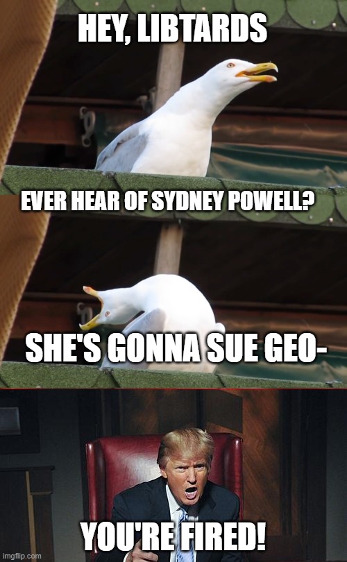 In colab with Franken30 | HEY, LIBTARDS; EVER HEAR OF SYDNEY POWELL? SHE'S GONNA SUE GEO-; YOU'RE FIRED! | image tagged in inhaling seagull | made w/ Imgflip meme maker