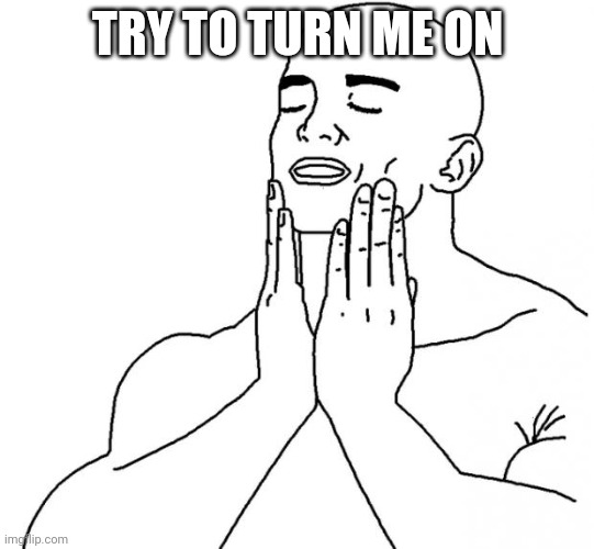 Feels Good Man | TRY TO TURN ME ON | image tagged in feels good man | made w/ Imgflip meme maker