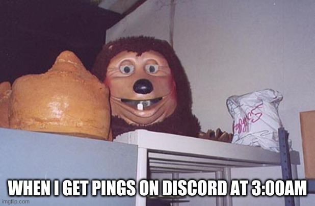 Billy  Bob | WHEN I GET PINGS ON DISCORD AT 3:00AM | image tagged in billy bob | made w/ Imgflip meme maker
