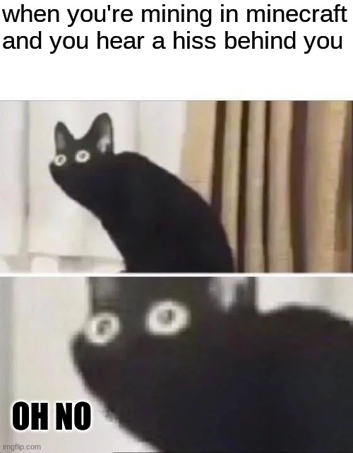 Oh No Black Cat | when you're mining in minecraft and you hear a hiss behind you; OH NO | image tagged in oh no black cat | made w/ Imgflip meme maker