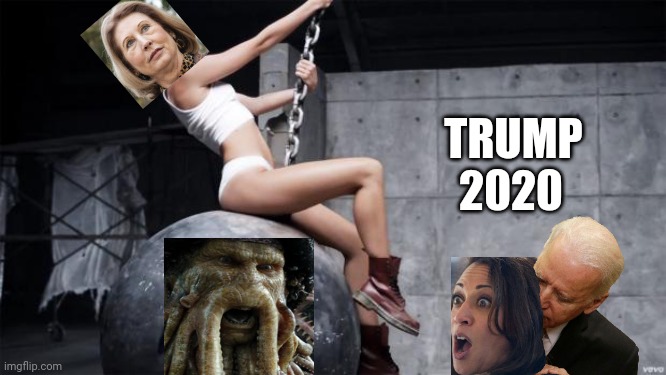 Sidney wrecking ball | TRUMP; 2020 | image tagged in miley cyrus wreckingball | made w/ Imgflip meme maker