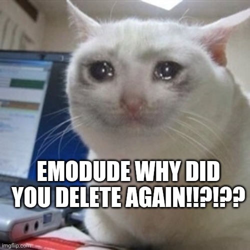 BrO iM cRyInG | EMODUDE WHY DID YOU DELETE AGAIN!!?!?? | image tagged in crying cat | made w/ Imgflip meme maker