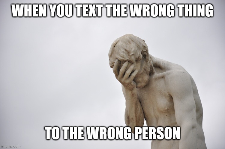 But like: | WHEN YOU TEXT THE WRONG THING; TO THE WRONG PERSON | image tagged in humiliated statue | made w/ Imgflip meme maker