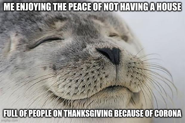 Satisfied Seal | ME ENJOYING THE PEACE OF NOT HAVING A HOUSE; FULL OF PEOPLE ON THANKSGIVING BECAUSE OF CORONA | image tagged in memes,satisfied seal | made w/ Imgflip meme maker