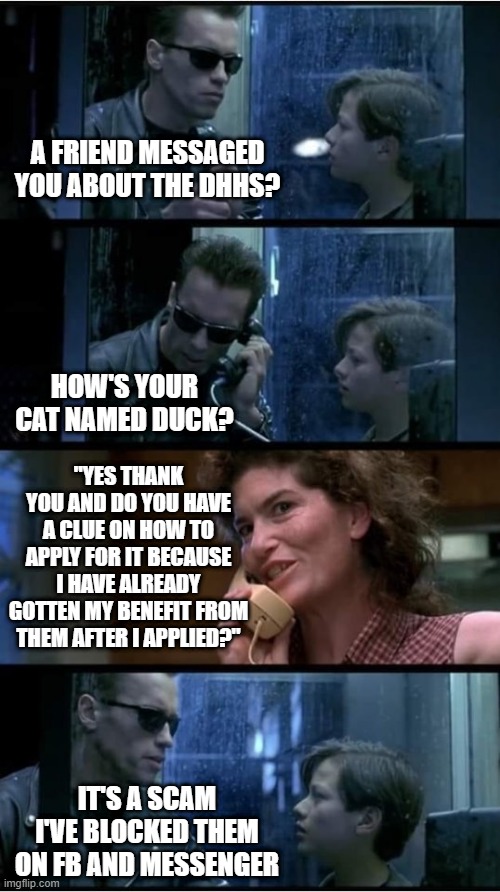 Life Lessons - FB Scams | A FRIEND MESSAGED YOU ABOUT THE DHHS? HOW'S YOUR CAT NAMED DUCK? "YES THANK YOU AND DO YOU HAVE A CLUE ON HOW TO APPLY FOR IT BECAUSE I HAVE ALREADY GOTTEN MY BENEFIT FROM THEM AFTER I APPLIED?"; IT'S A SCAM I'VE BLOCKED THEM ON FB AND MESSENGER | image tagged in terminator 2 phone booth,life lessons,facebook,scam | made w/ Imgflip meme maker