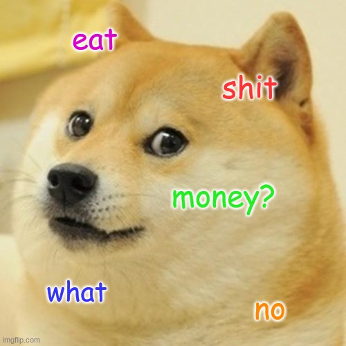 Doge | eat; shit; money? what; no | image tagged in memes,doge | made w/ Imgflip meme maker