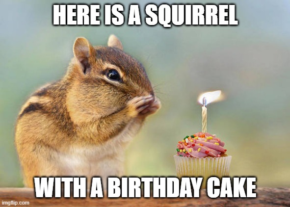 HERE IS A SQUIRREL; WITH A BIRTHDAY CAKE | made w/ Imgflip meme maker