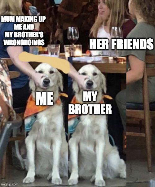 Lady holding dog's mouth | MUM MAKING UP 
ME AND MY BROTHER'S WRONGDOINGS; HER FRIENDS; ME; MY BROTHER | image tagged in lady holding dog's mouth,mum | made w/ Imgflip meme maker