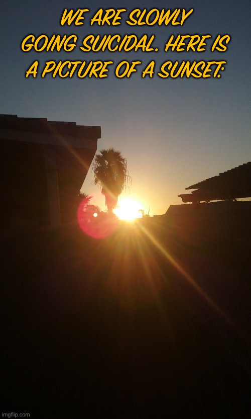 Sunset | WE ARE SLOWLY GOING SUICIDAL. HERE IS A PICTURE OF A SUNSET: | made w/ Imgflip meme maker