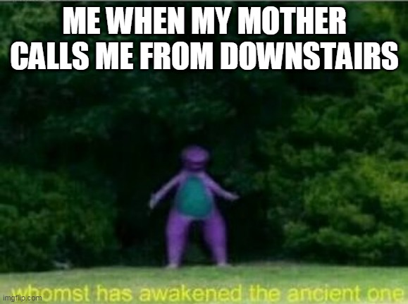 Im here! | ME WHEN MY MOTHER CALLS ME FROM DOWNSTAIRS | image tagged in whomst has awakened the ancient one | made w/ Imgflip meme maker