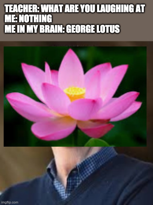 TEACHER: WHAT ARE YOU LAUGHING AT
ME: NOTHING
ME IN MY BRAIN: GEORGE LOTUS | image tagged in star wars,george lucas | made w/ Imgflip meme maker