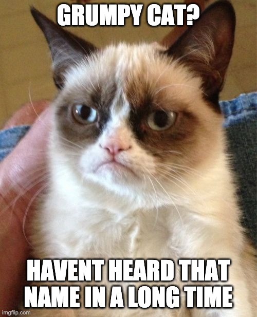 Grumpy Cat Meme | GRUMPY CAT? HAVENT HEARD THAT NAME IN A LONG TIME | image tagged in memes,grumpy cat | made w/ Imgflip meme maker