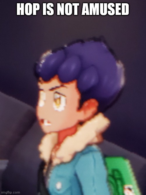 Hop is not amused (New template) | HOP IS NOT AMUSED | made w/ Imgflip meme maker