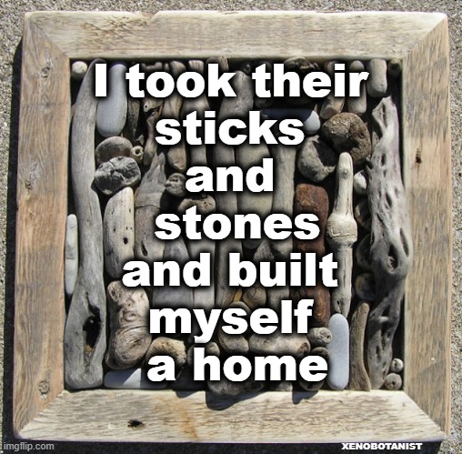 Sticks and Stones will Build a Home | I took their 
sticks 
and 
stones
and built 
myself 
a home; XENOBOTANIST | image tagged in sticks stones | made w/ Imgflip meme maker