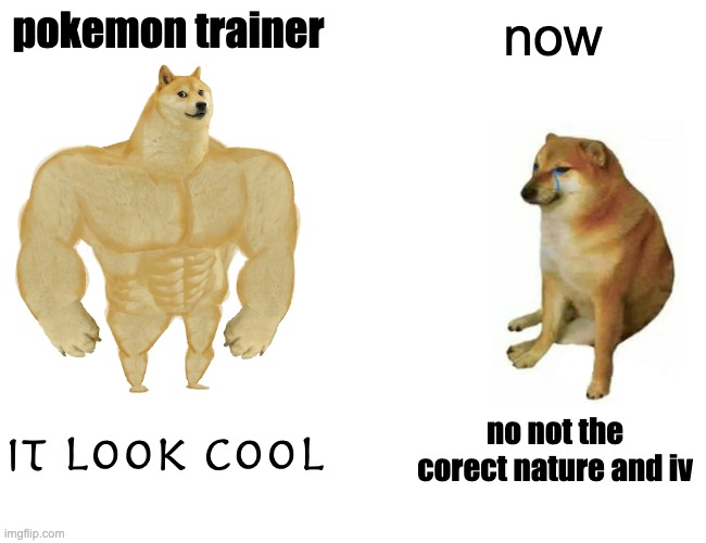 Buff Doge vs. Cheems Meme | pokemon trainer; now; it look cool; no not the corect nature and iv | image tagged in memes,buff doge vs cheems | made w/ Imgflip meme maker