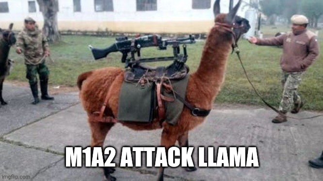 Attack llama | M1A2 ATTACK LLAMA | image tagged in llama | made w/ Imgflip meme maker