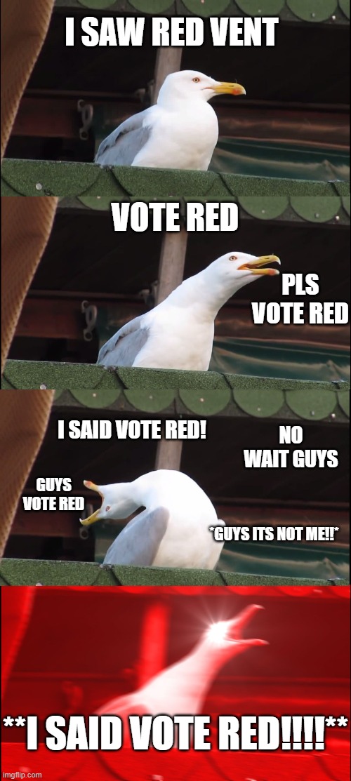 Inhaling Seagull | I SAW RED VENT; VOTE RED; PLS VOTE RED; I SAID VOTE RED! NO WAIT GUYS; GUYS VOTE RED; *GUYS ITS NOT ME!!*; **I SAID VOTE RED!!!!** | image tagged in memes,inhaling seagull | made w/ Imgflip meme maker
