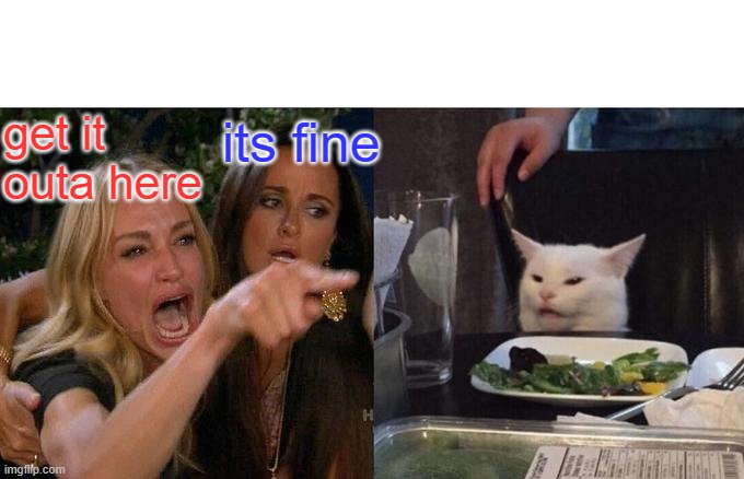 Woman Yelling At Cat | get it outa here; its fine | image tagged in memes,woman yelling at cat | made w/ Imgflip meme maker
