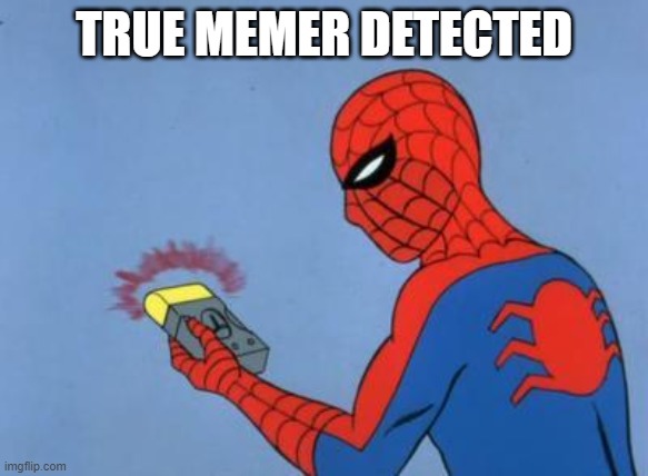 spiderman detector | TRUE MEMER DETECTED | image tagged in spiderman detector | made w/ Imgflip meme maker