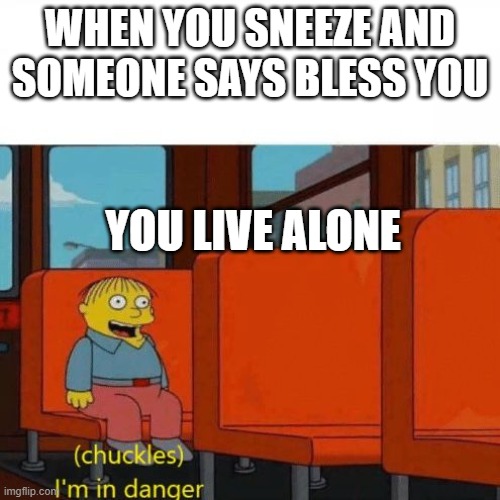 oh no... | WHEN YOU SNEEZE AND SOMEONE SAYS BLESS YOU; YOU LIVE ALONE | image tagged in chuckles i m in danger | made w/ Imgflip meme maker