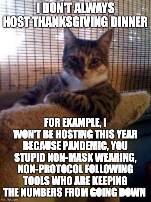 SRSLY PPL |  I DON'T ALWAYS HOST THANKSGIVING DINNER; FOR EXAMPLE, I WON'T BE HOSTING THIS YEAR BECAUSE PANDEMIC, YOU STUPID NON-MASK WEARING, NON-PROTOCOL FOLLOWING TOOLS WHO ARE KEEPING THE NUMBERS FROM GOING DOWN | image tagged in memes,the most interesting cat in the world | made w/ Imgflip meme maker