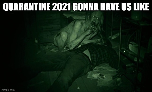 Quarantine 2021 | QUARANTINE 2021 GONNA HAVE US LIKE | image tagged in quarantine,covid19 | made w/ Imgflip meme maker