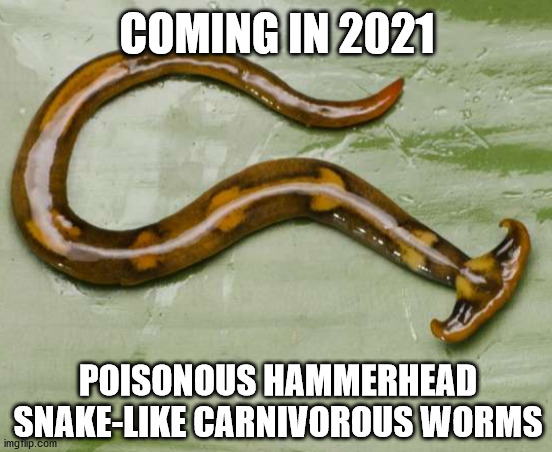 Not the Poisonous Hammerhead Snake-like Carnivorous Worms!!! | COMING IN 2021; POISONOUS HAMMERHEAD SNAKE-LIKE CARNIVOROUS WORMS | image tagged in 2021 | made w/ Imgflip meme maker