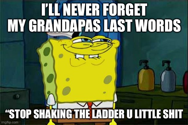 Don't You Squidward | I’LL NEVER FORGET MY GRANDAPAS LAST WORDS; “STOP SHAKING THE LADDER U LITTLE SHIT | image tagged in memes,don't you squidward | made w/ Imgflip meme maker