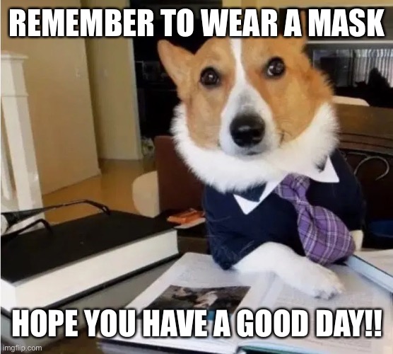 It’s science people | REMEMBER TO WEAR A MASK; HOPE YOU HAVE A GOOD DAY!! | image tagged in mask,face mask | made w/ Imgflip meme maker