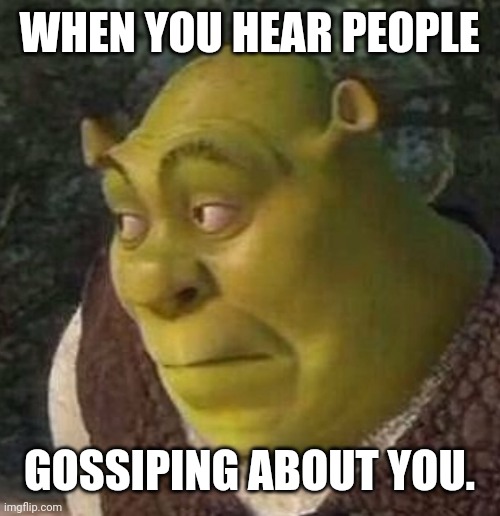 Shrek | WHEN YOU HEAR PEOPLE; GOSSIPING ABOUT YOU. | image tagged in shrek | made w/ Imgflip meme maker