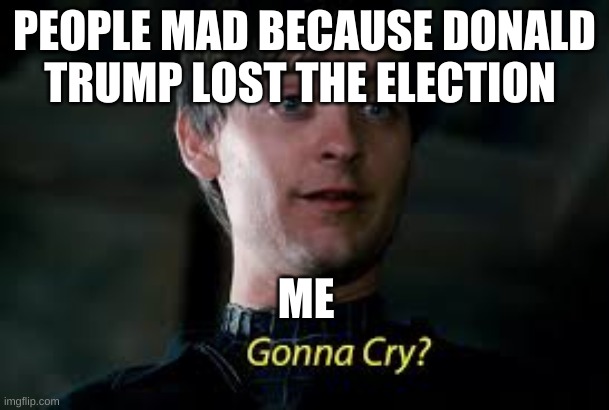 Gonna Cry? | PEOPLE MAD BECAUSE DONALD TRUMP LOST THE ELECTION; ME | image tagged in gonna cry | made w/ Imgflip meme maker