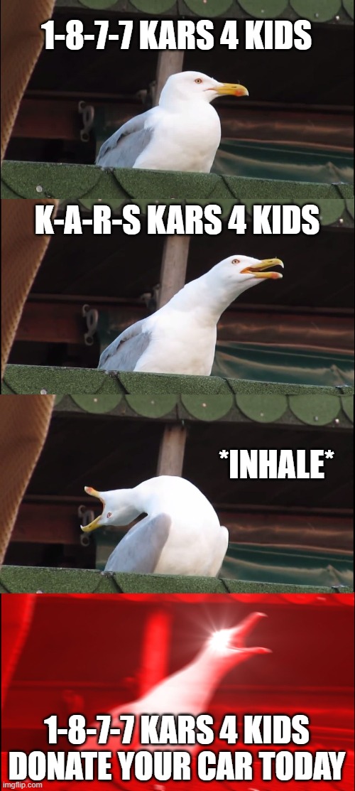 the old ad that asked you to donate your car | 1-8-7-7 KARS 4 KIDS; K-A-R-S KARS 4 KIDS; *INHALE*; 1-8-7-7 KARS 4 KIDS
DONATE YOUR CAR TODAY | image tagged in memes,inhaling seagull | made w/ Imgflip meme maker