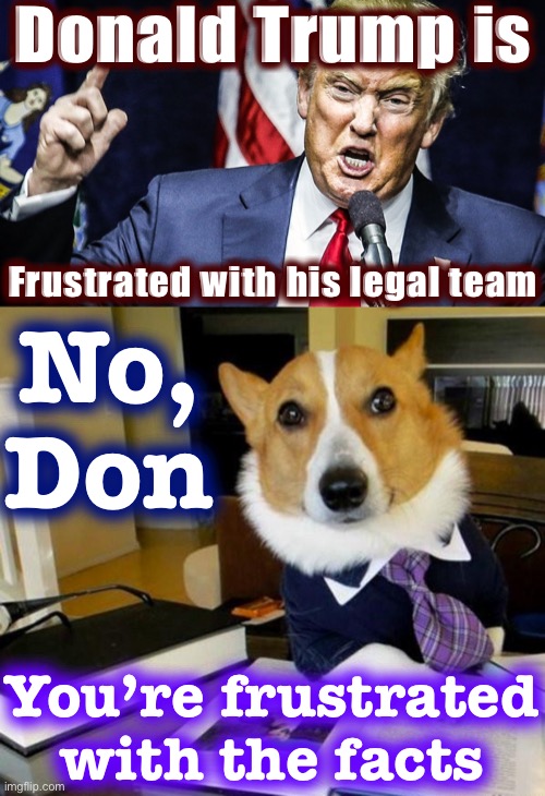There’s not a lawyer in America who could win these cases, because the facts don’t exist and the law isn’t there | Donald Trump is; Frustrated with his legal team; No, Don; You’re frustrated with the facts | image tagged in trump angry,lawyer corgi dog,election 2020,2020 elections,law,lawyers | made w/ Imgflip meme maker