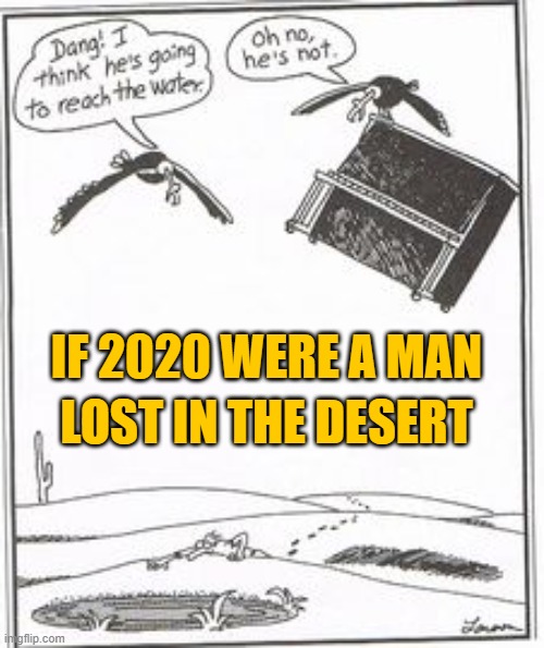 If 2020 Were a Man Lost in the Desert | IF 2020 WERE A MAN; LOST IN THE DESERT | image tagged in 2020 | made w/ Imgflip meme maker